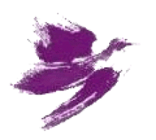 purple dove logo for Northern Spirit Radio